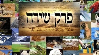 הרב שמעון משה חי רחמים שליט"א- פרק שירה שיעור ראשון