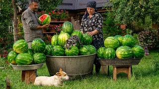 Summer Watermelon Delights: Effortless Watermelon Treats!