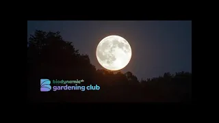 Planting by the Moon Know - How and Tips for October 2023