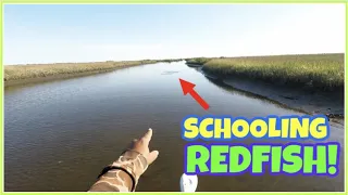 SIGHT CASTING REDFISH in SUPER LOW TIDE!! (Grand Isle, LA)