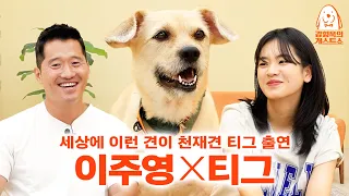 For the first time, a genius dog who has certified all the boasts has appeared!