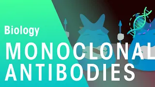 Monoclonal Antibodies | Health | Biology | FuseSchool