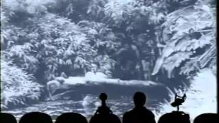 MST3k 315 - Teenage Caveman