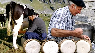 QUESO artesano en una cabaña del Pirineo. Elaboración en 1996 con leche recién ordeñada | Documental