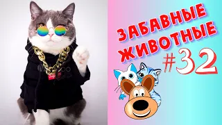 Смешные Животные / Приколы 2020 / Приколы Животные /Приколы с Животными / Лучшие Приколы #32