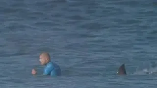 Pro surfer fights off attacking shark