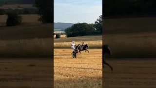 Mädchen auf dem Pferd 🐴 🏍️