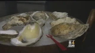 Bacteria Forces Shut Down Of Cape Cod Oyster Beds