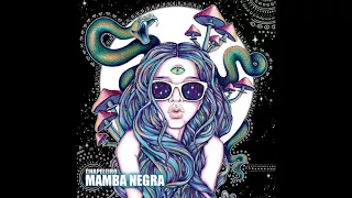 Chapeleiro - Mamba Negra (Original Mix)