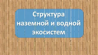 Структура наземной и водной экосистем | Общая экология