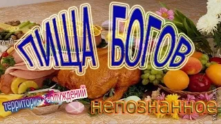 Пища богов .Бобовые Подарок богов. Самые загадочные продукты питания