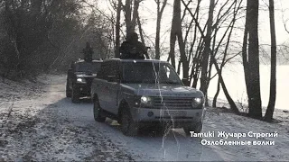 Tamuki, Жучара Строгий - Озлобленные волки (Премьера клипа)