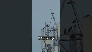 В России начали делать СВОИ 5G станции