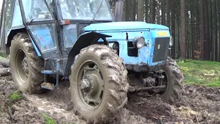 Vyvážení dřeva v blátě. Traktor Zetor 6945 bez navijáku. Cestou po harvestoru. Pes na blatníku :)