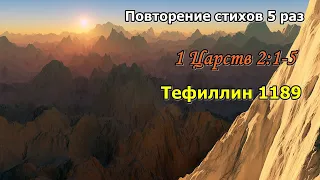 Тефиллин 1 Царств 2:1-5 стихи повторение 5 раз