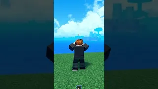 I Found the RAREST THING in Roblox One Piece