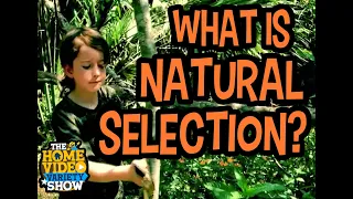CC Cycle 3 Week 24 Science: Natural Selection