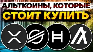 ❌Ты пожалеешь, если не купишь эти альткоины! Альткоины, которые дадут иксы! XRP / XLM / HBAR / ALGO