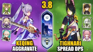 C0 Keqing Aggravate & C0 Tighnari Spread DPS | Spiral Abyss 3.8/4.0 Floor 12 9 Stars Genshin Impact