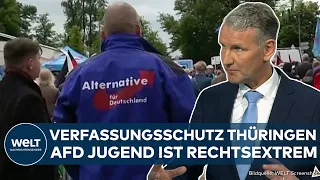 THÜRINGEN: Schlag für Björn Höcke! Verfassungsschutz stuft Jugend der AfD als rechtsextrem ein