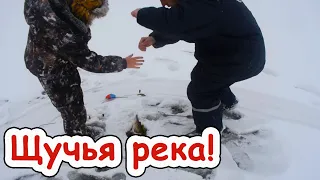 Рыбалка на жерлицы зимой. Жерлицы на щуку. Щучья река!