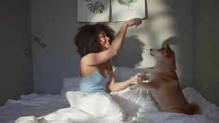 Most Famous Pomeranian Dog TikTok Compilation 2021