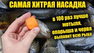 THE SMARTEST FISHING! SUPER BAIT FOR FISHING!
