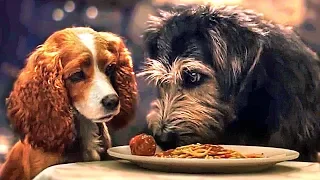 LADY AND THE TRAMP Full Movie Trailer (2019) Disney +