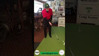 Tiger Woods' Putting Training Aid