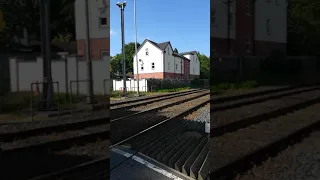 Class 4000 at Dunmurry foot crossing