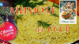 Рецепт салата МИМОЗА! Тот самый РЕЦЕПТ из СССР