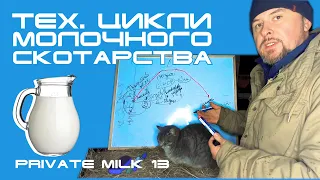 Технологічні цикли в молочному скотарстві | Private Milk |Травецький