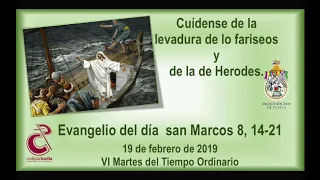 Evangelio del día  san Marcos 8, 14-21 del 2019-02-19 con Mons. Fabio Martínez Castilla