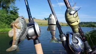 Fishing BIG Swimbaits in a Small Pond?