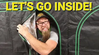 Grow Tent  Set-Up & Walk-Through! #mushroom #growing #tents