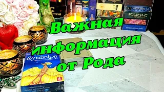 ⚖️🌳⏳О чем тебе хочет поведать твой Род прямо сейчас 🦋🌳