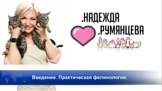 Cats+ Надежда Румянцева: Введение. Практическая фелинология.