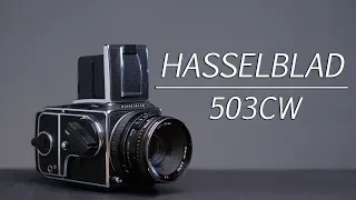 HASSELBLAD 503CW | THE LAST ICONIC HASSELBLAD | Medium Format Camera