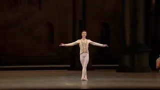 Vadim Muntagirov   Désiré Variation Act 3