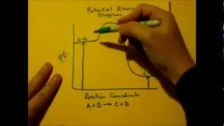 Potential Energy Diagram Basics (PE Diagrams)