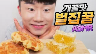 통 벌집꿀 리얼사운드 먹방 ASMR HONEYCOMB Social EATING SOUNDS Mukbang Show