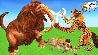 3 Woolly Mammoth vs 2 Zombie Tiger Wolfs attack Cow Cartoon and Bulls saved by Mammoth Elephant