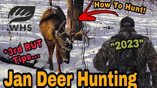 How To Hunt In January