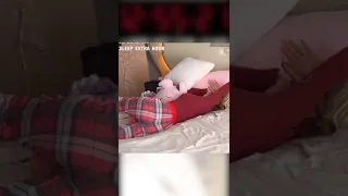 Amouranth made a little mistake on her sleeping stream 😳... #shorts