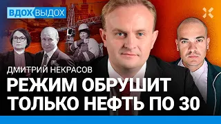 НЕКРАСОВ: Когда у Путина закончатся деньги на войну. Доллара по 200 не будет. Набиуллина. Мигранты