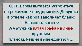 ✡️ Еврей на Режимном Предприятии! Еврейские Анекдоты! Анекдоты про Евреев! Выпуск #196