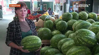 Жителям Брянской области рассказали о том, как правильно выбрать хороший арбуз