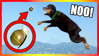 GTA 5 | How Smart is CHOP? (PART2)