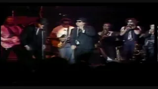 The Blues Brothers Live Video - Soul Man