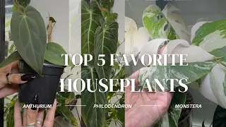 🌿 Unique Houseplants For Any Collection | 🌿 Favorite Rare Indoor Plants | April 2024